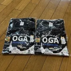ポケモンGOフェス2026東京 パーカー Tシャツ アバターシリアルコード