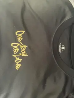 Champion One Ball One Love Tシャツ Lサイズ