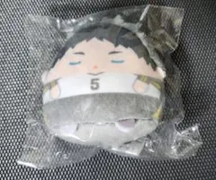 ハイキュー‼ 　くじメイト ぬいくじ 　てのりんずコレクション　E賞 赤葦　京治