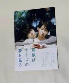 2025年最新】窮鼠はチーズの夢を見る パンフレットの人気