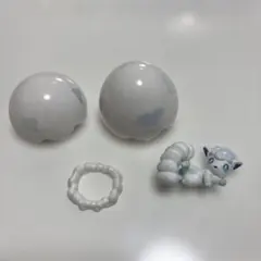 ポケモン ロコン(アローラのすがた) ポケモンとタマゴのポット