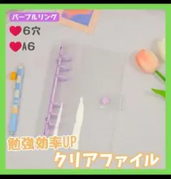 Item thumbnail for item 8de8735d-ad14-4af4-80f3-b2475b526f17