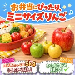 ＂ミニサイズりんご＂ 【 青森県産 家庭用 B品 りんご 5kg 】 産地直送