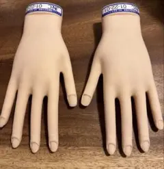 JNEC 公式 認定モデルハンド　両手セット