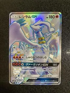 ラニュイ SR SM8b GXウルトラシャイニー 160/150 - メルカリ