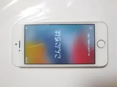 docomo iPhone SE 第1世代 64GB シルバー