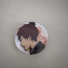 入手困難 ワンピース all faces オールフェイス缶バッジ コニスさん