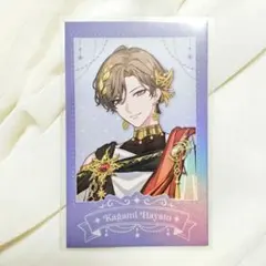 のる様 リクエスト 4点 まとめ商品