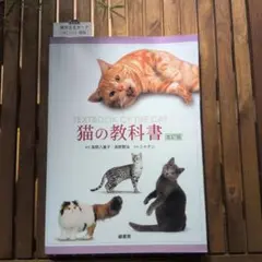 Item thumbnail for item c22d3a87-6a40-4f3c-9ac0-5446db6b5ddc