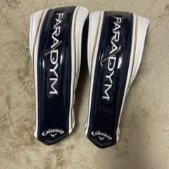 Item thumbnail for item f4b03adf-63ed-4044-9fef-297c6964723d