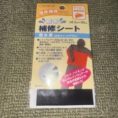 Item thumbnail for item 8e788b42-8a2e-4f29-a5b7-5f072e3df07a