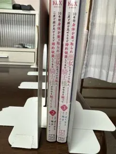 Item thumbnail for item 2521e140-55c3-49f4-8454-77ffab8a81c5