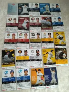 プロ野球チップスカード 2025