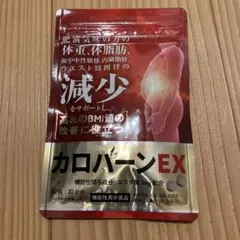 カロバーンEX 30日分 機能性表示食品のサムネイル