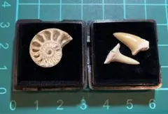 sasa様 リクエスト 3点 まとめ商品