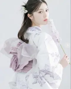 Dita 淡花清月 5点セット