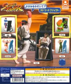 即購入◎】　かがみをのぞいて？　ストリートファイター　春麗　ザンギエフ　ブランカ