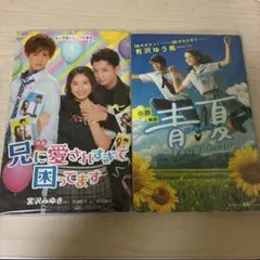兄に愛されすぎて困ってます 青夏 きみに恋した30日 2冊セット