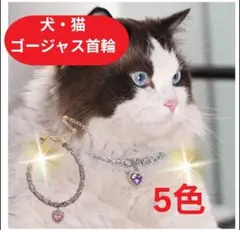 犬猫 首輪 ゴージャス キラキラ プリンセス お姫様 ハロウィン フリーサイズ