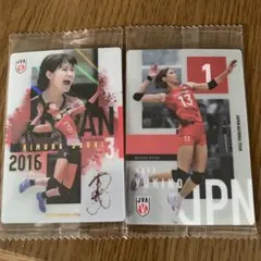 ⭐️バレーボール日本代表女子！木村沙サイン入り 和田由紀子