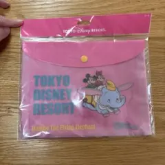 ◾︎ ディズニー ミッキー ミニー レトロ ケース