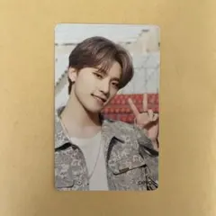 seventeen ディノ　トレカ