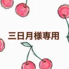 三日月様 リクエスト 11点 まとめ商品