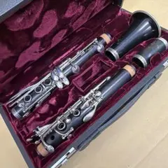 Item thumbnail for item 632d7864-8f62-404e-b951-61639b9addd9