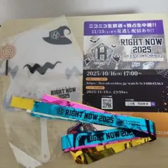 ③RIGHT NOW 2025 名古屋、ハロウィンパーティー、4本