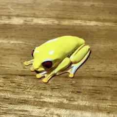 お財布蛙2 アカメアマガエル アルビノ