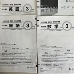 2026年最新】ベネッセ 学力推移調査 中3の人気アイテム - メルカリ