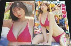 ヤングアニマル 20231013 菊地姫奈 切り抜き クリアファイル付き