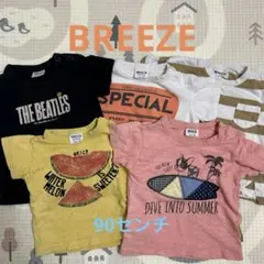 Item thumbnail for item c2488f41-80a0-472d-bf1b-8733cfbd13a3