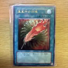 2025年最新】鳳凰神の羽根の人気アイテム - メルカリ