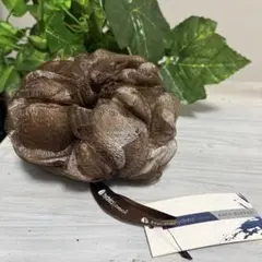 Item thumbnail for item 7e16b1fe-2685-40a7-a258-b2400310820b