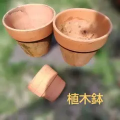 素焼き 植木鉢 3個セット テラコッタのサムネイル