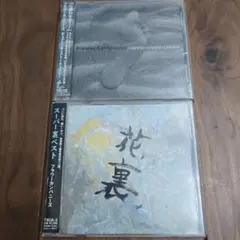 フラワーカンパニーズ CD2枚セット