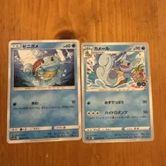 ポケモン カメックス カメール ゼニガメ ポケモンGo 各1枚 番号M2043