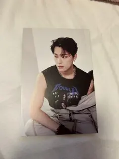 SEVENTEEN face the sun ポストカード ディノ