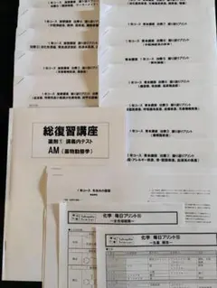 【格安！】薬学ゼミナール 薬剤師国家試験対策 1年コース 講義プリントセット
