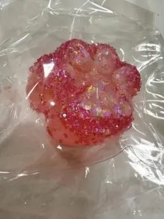 jammyjem キラキラ先生 スクイーズ Squishy キラキラ先生 jammyjem squishy 肉球 スクイーズ - メルカリ