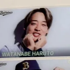 コロチャレ　渡部遼人　アクリルカード