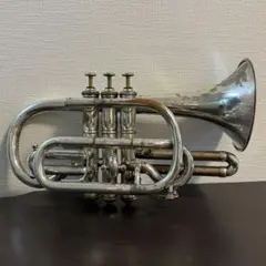 Item thumbnail for item 49122d74-48c6-4757-a418-1d51fb6a96d4