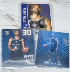 福井ブローウィンズ グッズ　ペリー　クリアカード　まとめ売り