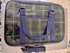 Item thumbnail for item 2ae07a0f-e1c1-41d6-ae01-79f97b2f3ea7