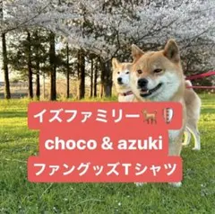 ぽんちゃん様　専用ページ