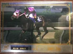 サラブレッドカード イナリワン48位