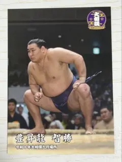♢大相撲 横綱 豊昇龍A賞 ファンクラブルーレット カード♢