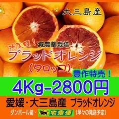 【ゆき】タロッコ9Kg：タロッコ6Kg　別所送り 2026年最新】タロッコ、モロの人気アイテム - メルカリ