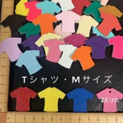 本革　Tシャツ（M）アソート・カラーミックス　２５枚セット